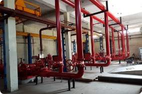 Tri-Parulex Fire Protection Systems